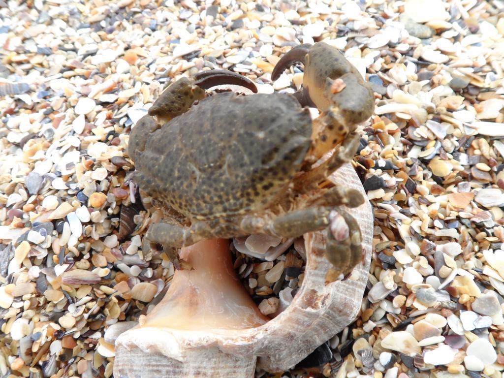 Vilele Brise de Mer 2 Mai Exterior foto
