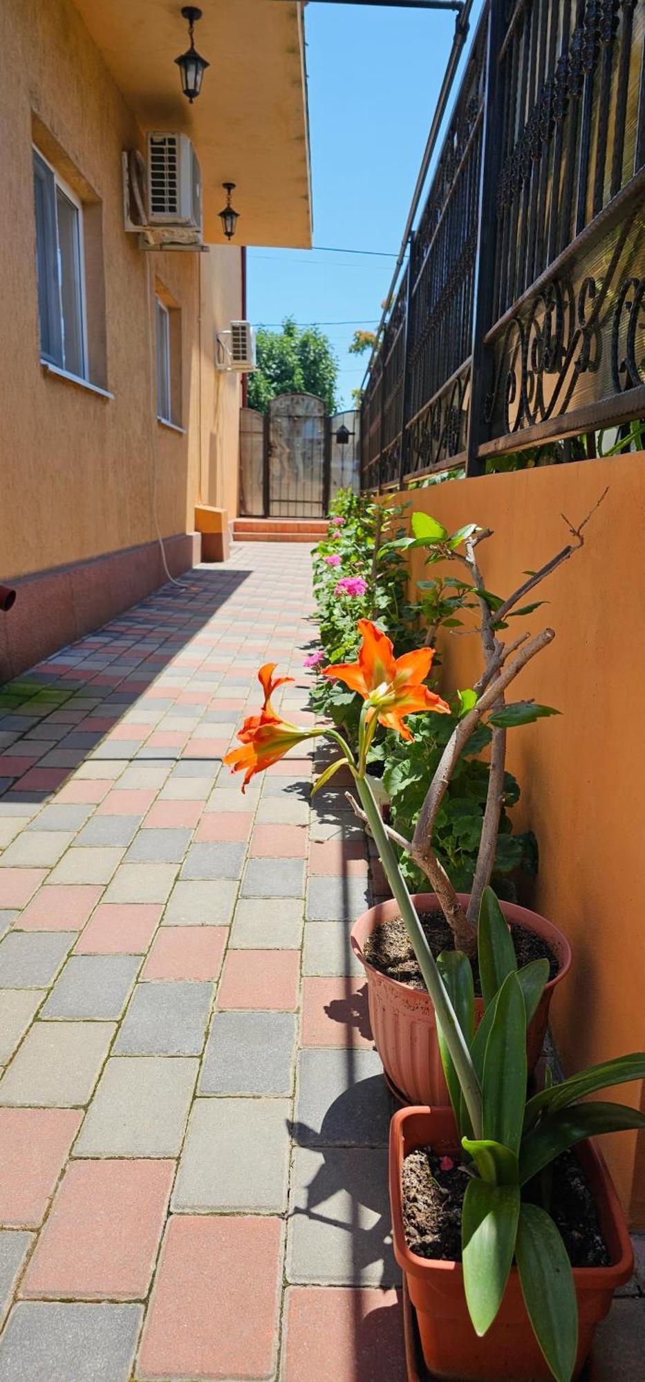 Vilele Brise de Mer 2 Mai Exterior foto